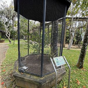 Blue-headed Parrot Aviary