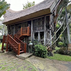 Owl House (4 species)