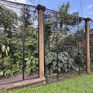 Papua Aviary - exterior