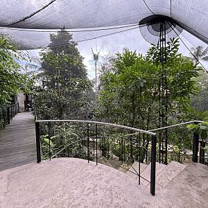 Papua Aviary