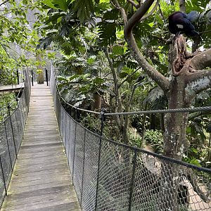 Papua Aviary