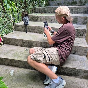 Myself + Oriental Darter (Papua Aviary)