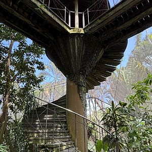 Papua Aviary