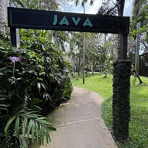 Java Area
