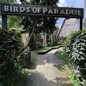 Birds of Paradise Area