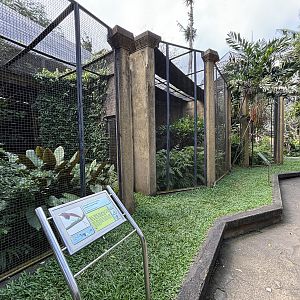 King Bird of Paradise Aviary #1
