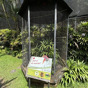 King Bird of Paradise Aviary #2