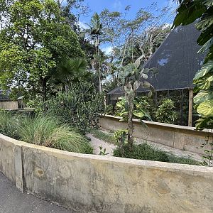 Komodo Dragon Exhibit #1