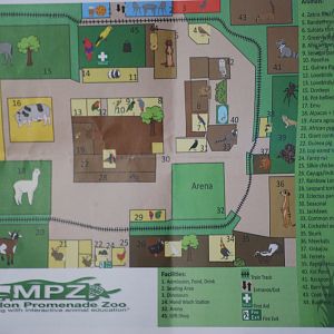 Maldon Promenade Petting Zoo map (July 2024)