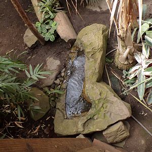 Water feature in the sloth house 17.7.23