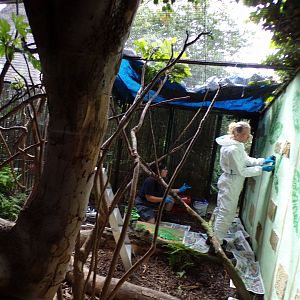 Work being done on cloud rat enclosure 17.7.23