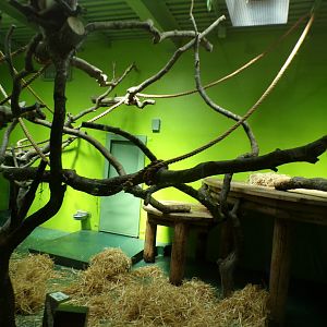 Drill indoors 17.7.23