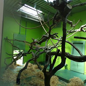 Drill indoors 17.7.23