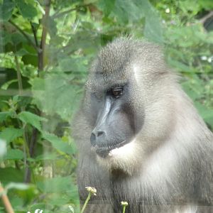 Drill portrait 17.7.23