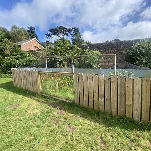 Future European adder exhibit 100924