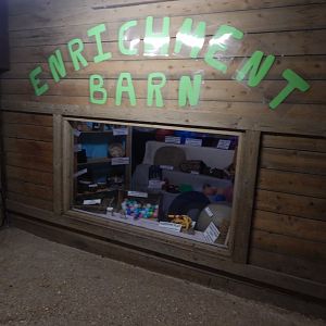 Enrichment Island 130924