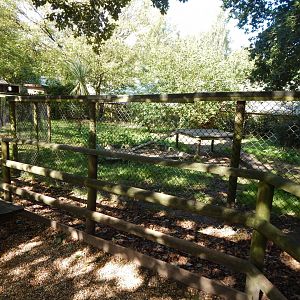 Giant otter outdoor habitat 130924