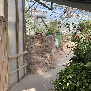 The Glass House 130924