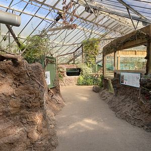 The Glass House 130924