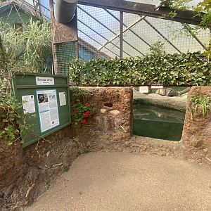 The Glass House - Eurasian otter indoors 130924