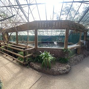 The Glass House - Giant otter indoors 130924