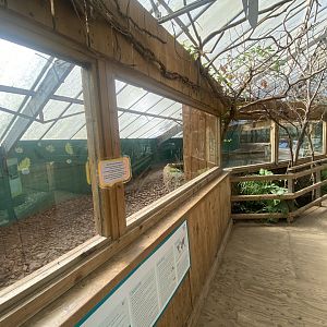 The Glass House - Giant otter indoors 130924