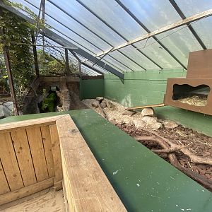 The Glass House - Asian small-clawed otter indoors 130924