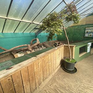 The Glass House - Domestic ferret indoors 130924