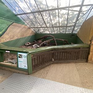 The Glass House - Domestic ferret indoors 130924