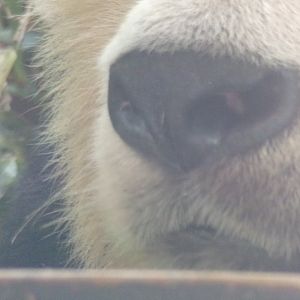 Yang Guang close up 17.7.23