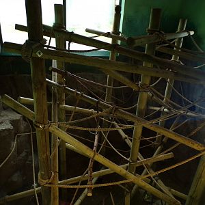 Living links- new climbing frames 18.7.23