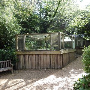 Burrowing owl habitat 130924