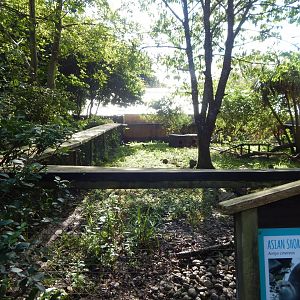 Asian small-clawed otter habitat 130924