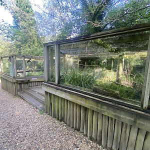 Burrowing owl exhibit 130924