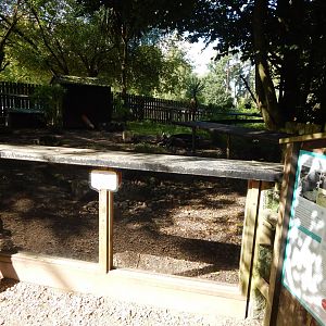 Asian small-clawed otter habitat 130924