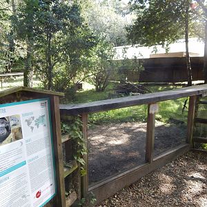 Eurasian otter habitat 130924