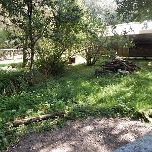 Eurasian otter habitat 130924