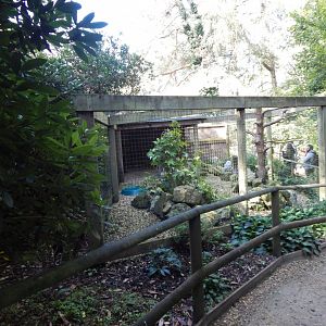 Snowy owl aviary 130924