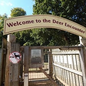 Entrance to Deer Encounter 130924
