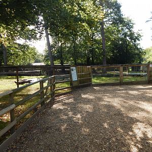 Giant otter habitat no.2 130924
