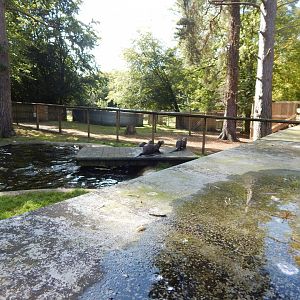 Giant otter habitat no.2 130924