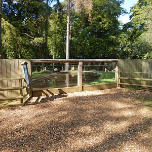 Indochinese smooth-coated otter habitat 130924