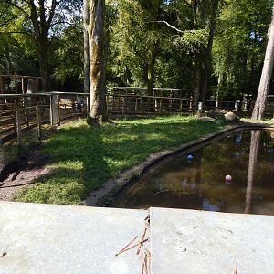 Indochinese smooth-coated otter habitat 130924