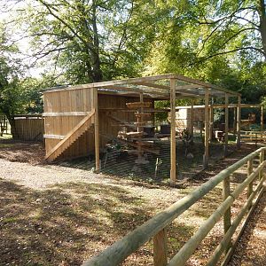 Scottish wildcat habitat 130924