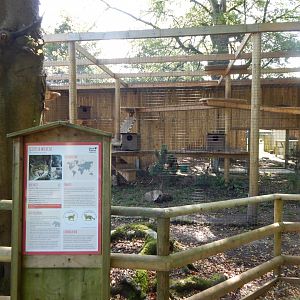 Scottish wildcat habitat 130924