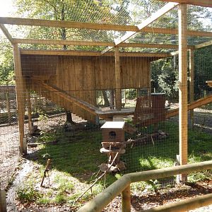 Scottish wildcat habitat 130924