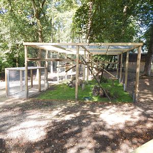 European pine marten habitat 130924