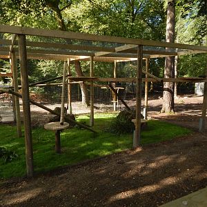 European pine marten habitat 130924