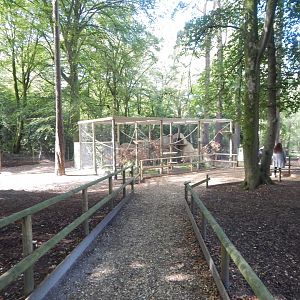 European pine marten habitat no.2 130924