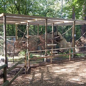 European pine marten habitat no.2 130924